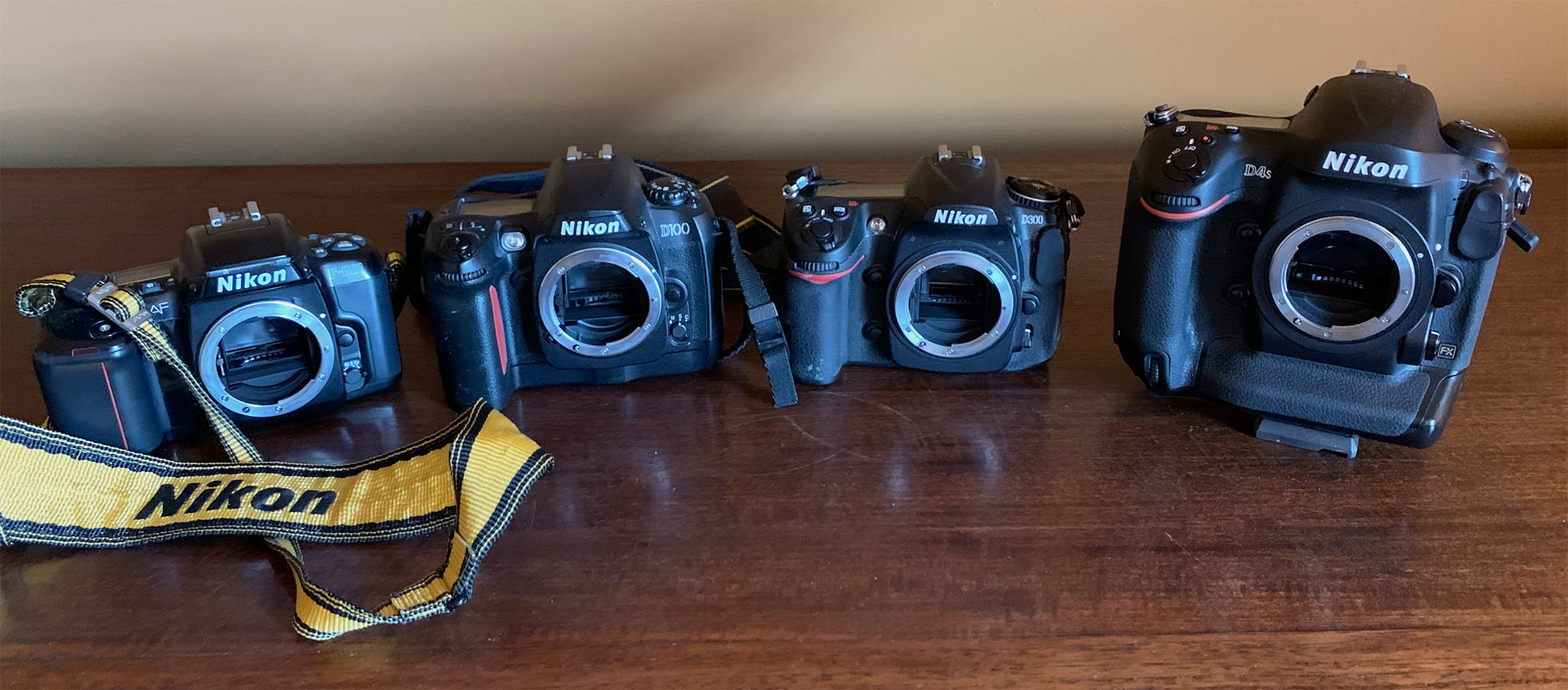 Nikon Camera bodies F-601 D-100 D300 D4S